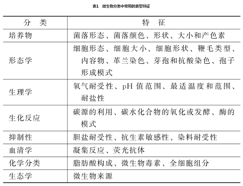2020版藥典9204微生物鑒定指導原則